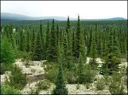 Dans quel continent se situe le Labrador ?