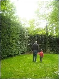 En cas de succession en ligne directe, quel est le montant de l'abattement (somme sur laquelle l'hritier n'aura rien  payer en succession de ses parents) ?