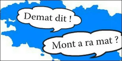 Quelle est l'origine de la langue bretonne ?