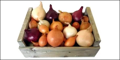 Quel département français est le plus gros producteur d'oignons ?