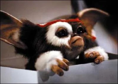 Quel est ce personnage ?