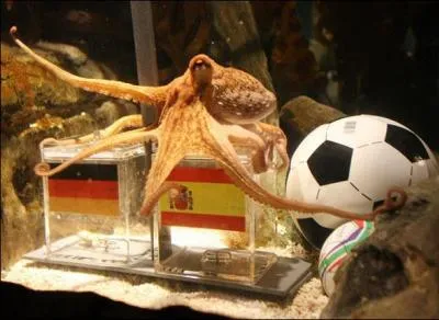 Rendons hommage  cet tre suranimal :