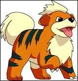 Caninos est le pokmon de