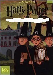 Quel est le titre de ce tome ?