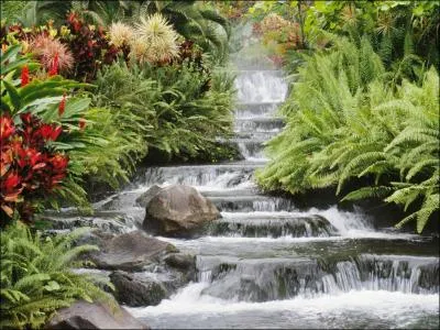 Qui a chant 'Tik Tok' ?