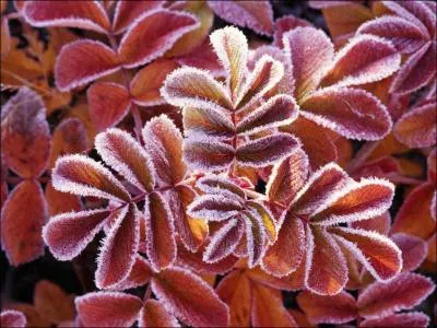 Qui a chant 'T'as du style' ?