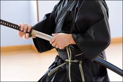 Quel art martial signifie ''la voie du sabre'' ?