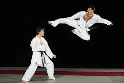 Ce mot désigne un coup porté à mains nues sur une partie vitale de l'adversaire.