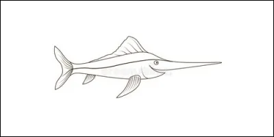 Le poisson-épée est l'autre nom de l'espadon.