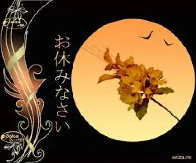 Après cette belle journée, j'ai souhaité ''BONNE NUIT'' à mes hôtes.