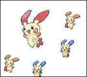 Comment une Posipi met des bbs au monde ?