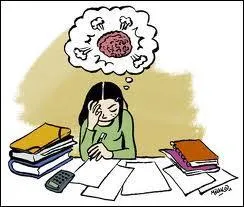 Quelles sont les bonnes habitudes ?