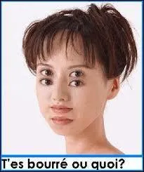 J'ai consomm de l'alcool :