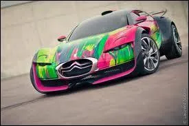 Peint par Franoise Nielly, ce concept car est une ...