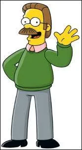 Ned Flander incarne souvent :