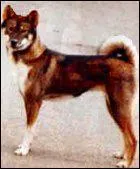 Le Sanshu est originaire de quel pays ?