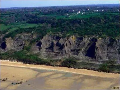 Dans quel département se situe la falaise des Vaches noires ?