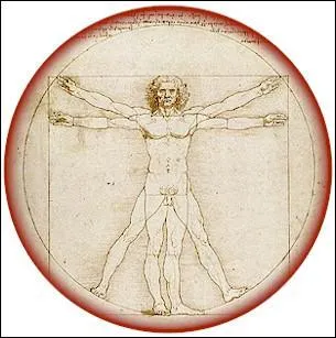 Quel est, chez l'Homme, l'organe du toucher et de la préhension ?