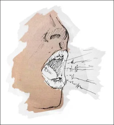 Quel organe creux, situé entre le pharynx et la trachée, est le principal instrument de la voix ?