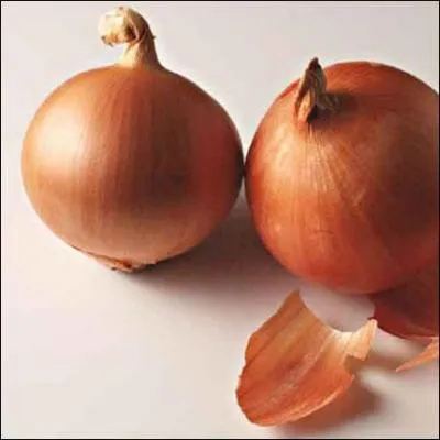 Où peut-on trouver un oignon ou un il-de-perdrix ?