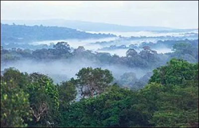 Quel est le climat de la Guyane ?