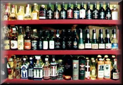 Que collectionne un thylablophile ?