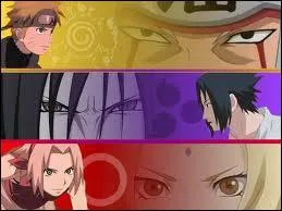 Quel est l'art du villlage cach des roches ?