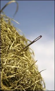 Complétez l'expression : "chercher une aiguille dans une botte de...".