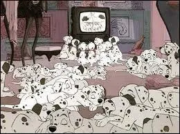 Comment les 101 dalmatiens changent-ils de race ?