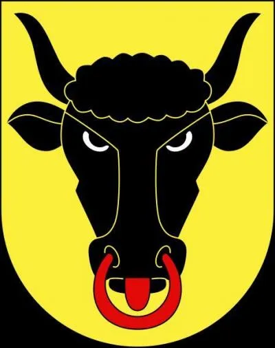 Quel canton pour ce blason ?