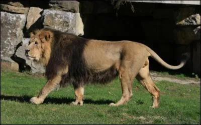 Nous sommes encore quelques centaines dans :