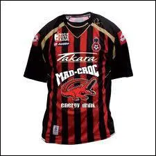 A quelle quipe de foot appartient ce maillot ?