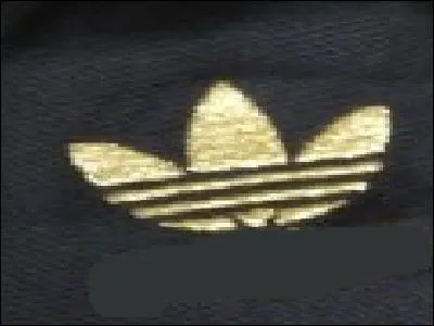 Quelle est cette marque ?