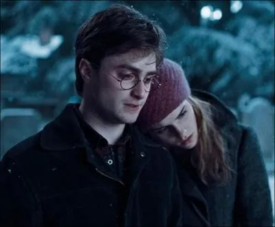 Harry Potter 7 est devenu cette semaine le volet le plus rentable de toute la saga. Combien a-t-il rapport� dans le monde ?