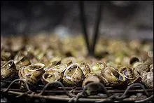 Quelle est la particularit de la cargolade ?