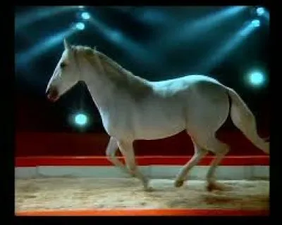 Mondino avait créé un clip dans un cirque où un beau cheval blanc tournait autour d'Alain Bashung qui chantait : ''Osez... ''