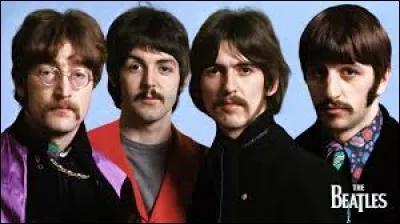 En 1965, les Beatles chantaient ''Michelle, ma belle sont des mots qui vont très bien ensemble... '' 11 ans plus tard, un chanteur français leur donnait un coup de chapeau avec Michèle...