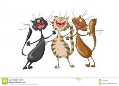 Quelle chanson est la plus gaie des 4 ? ... (Y'a pas photo ! )