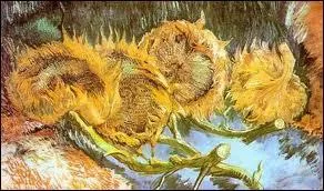 Quatre tournesols coups :