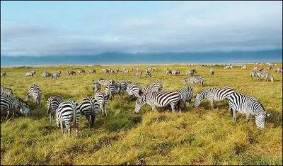 Quel est le climat de la Tanzanie ?