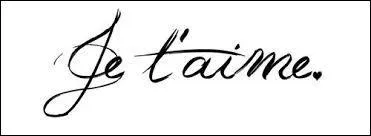 Qui a chant : ´La plus belle fois qu´on m´a dit ´je t´aime´ / C´tait un mec qui me l´a dit. ´