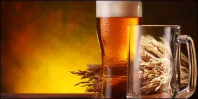 Quelle est la plus grande brasserie française ?