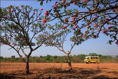 Quel est le climat au Cameroun ?