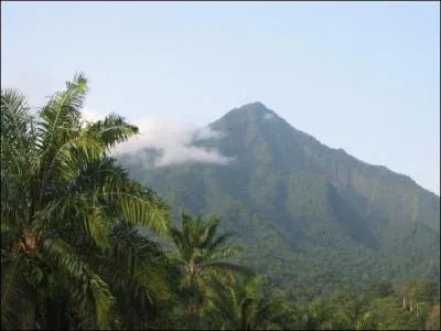 Combien mesure le mont Cameroun et quelle est sa nature ?