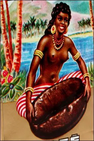 Quel type de caf produit-on en Afrique ?