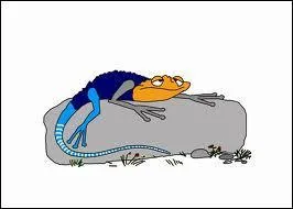 Qui est la femelle du Lzard ?