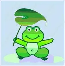 Quel est le petit de la grenouille ?