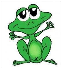 Quel est le mle de la Grenouille ?