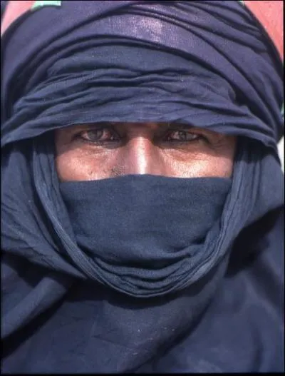 Les Touaregs vivent en Algrie et en Libye, mais aussi dans 3 pays d'Afrique noire : lesquels ?