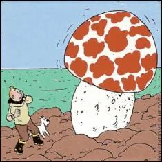 L'Etoile mystrieuse : Sur l'le, quel animal poursuit Tintin et finit par tre cras par une pomme gante ?